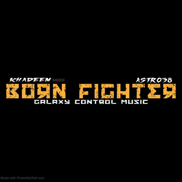 Born Fighter