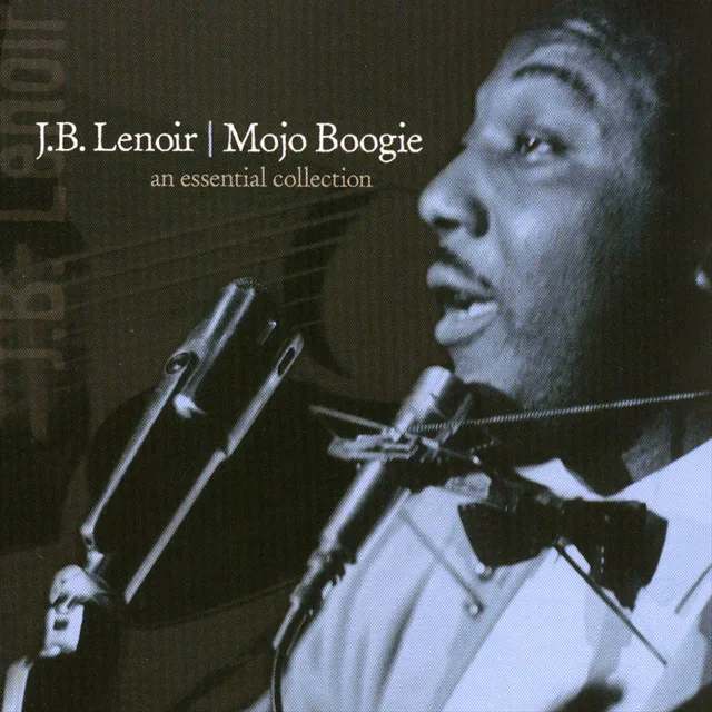 Mojo Boogie: An Essential Collection