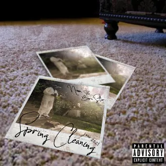 Spring Cleaning by Nova the Born Star