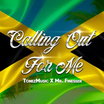 Calling Out For Me by TonezMusic