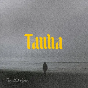 Tanha by Faizullah Arain