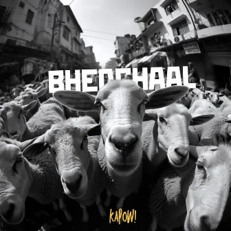 Bhedchaal by Kapow!