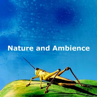 Nature and Ambience by Forest Wind Sounds