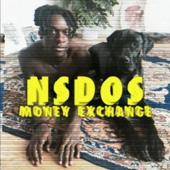 Money Exchange by NSDOS