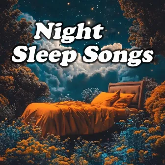 Night Sleep Songs by Unknown Artist