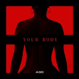 Your Body by A3O