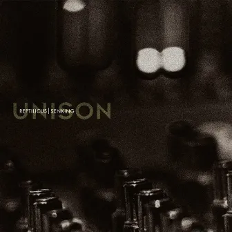 Unison by Senking