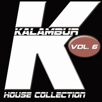 Kalambur House Collection, Vol. 6 by Falcon