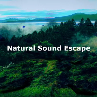 Natural Sound Escape by Naturalis