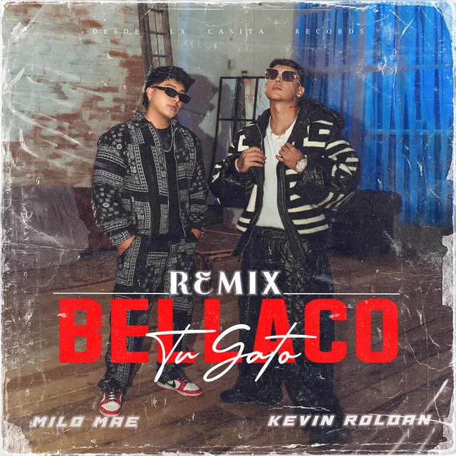 Tu Gato Bellaco - Remix