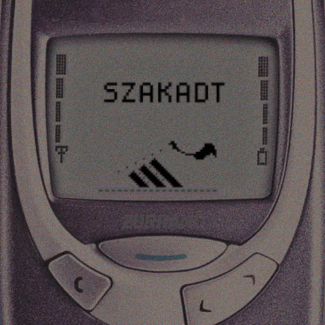 Szakadt 3310