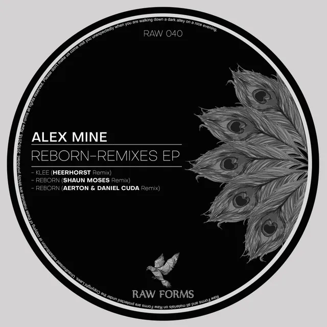 Reborn - Shaun Moses Remix