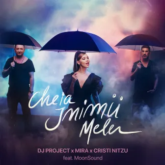 Cheia Inimii Mele by Cristi Nitzu