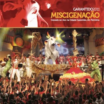 Miscigenação (Ao Vivo) by Boi Bumbá Garantido