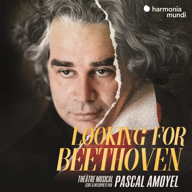 Looking for Beethoven