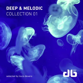 Deep & Melodic Collection 1 by Louis Desero