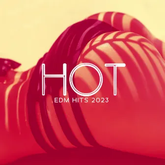 Hot EDM Hits 2023 – Sexy Ibiza Night Club BGM by Hot Chillout