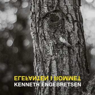 ELEFANTEN I ROMMET by KENNETH ENGEBRETSEN