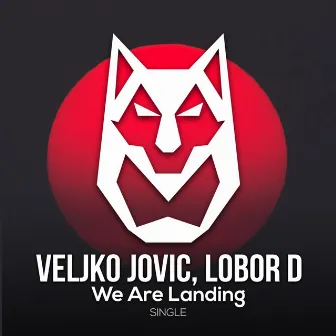 We Are Landing by Veljko Jovic