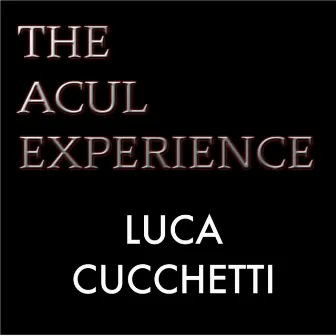 The ACUL Experience by Luca Cucchetti