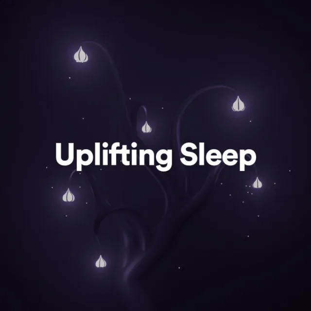 Calm Music For Sleeping