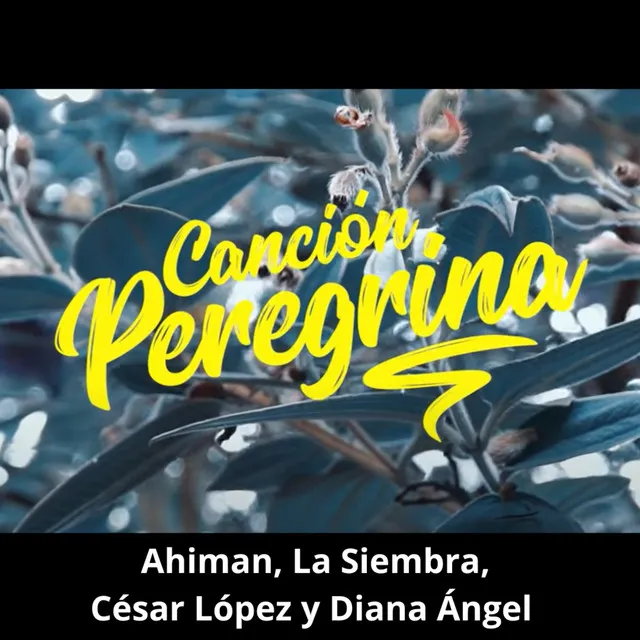 Canción Peregrina