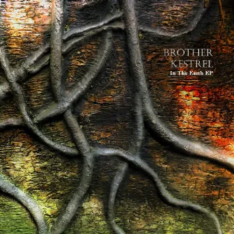 In the Earth - EP by Brother Kestrel