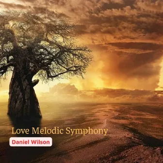 Love Melodic Symphony by Daniel Wilson