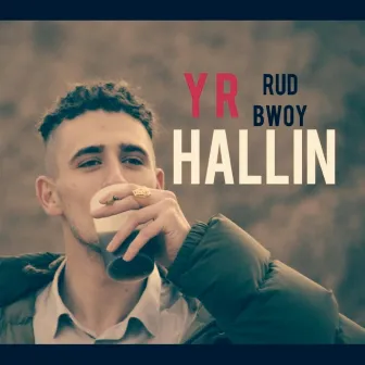 Rud bwoy hallin by Young Rood