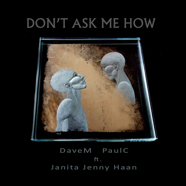 Don't Ask Me How (feat. Janita Jenny Haan)