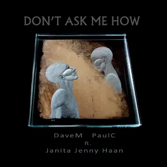 Don't Ask Me How (feat. Janita Jenny Haan) by Davem