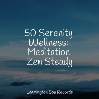 50 Serenity Wellness: Meditation Zen Steady by Massagem Coleção de Músicas