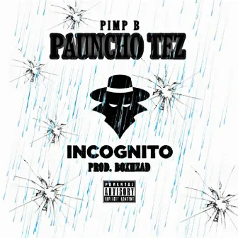 Incognito by Pauncho Tez