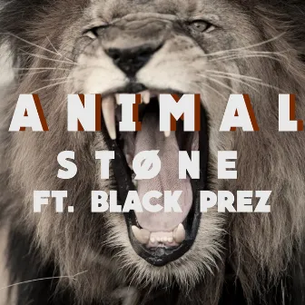 Animal by Stone