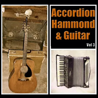 Accordion, Hammond & Guitar Vol 3 by Wildlife