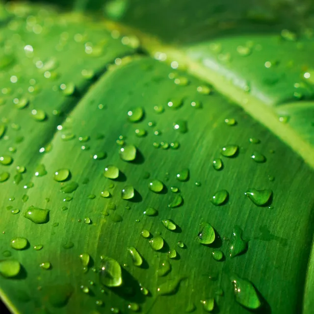 Lluvia Ruido Agradable Para Dormir