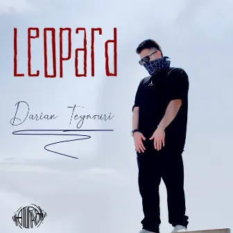 Leopard by Darian Teymouri