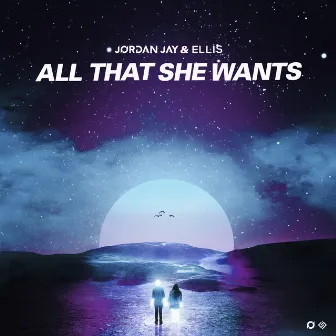 All That She Wants by Jordan Jay