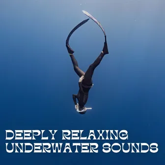 Deeply Relaxing Underwater Sounds by Underwater Sounds Channel