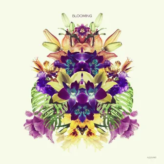 Blooming by Konvex (FR)