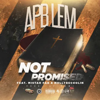 Not Promised by LEM