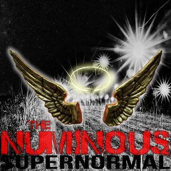 superNORMAL by Numinous