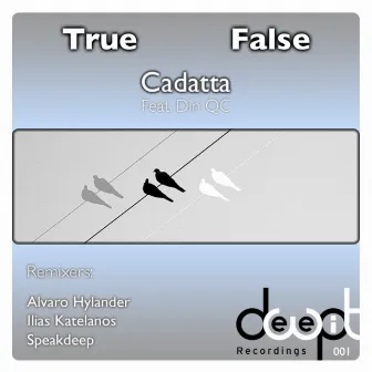 True False by Cadatta