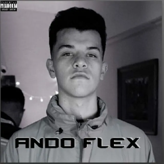 Ando Flex