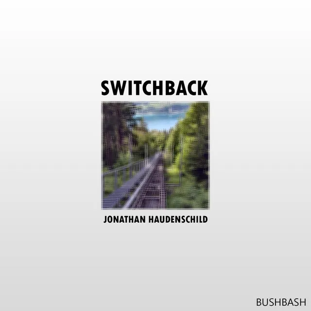 Switchback