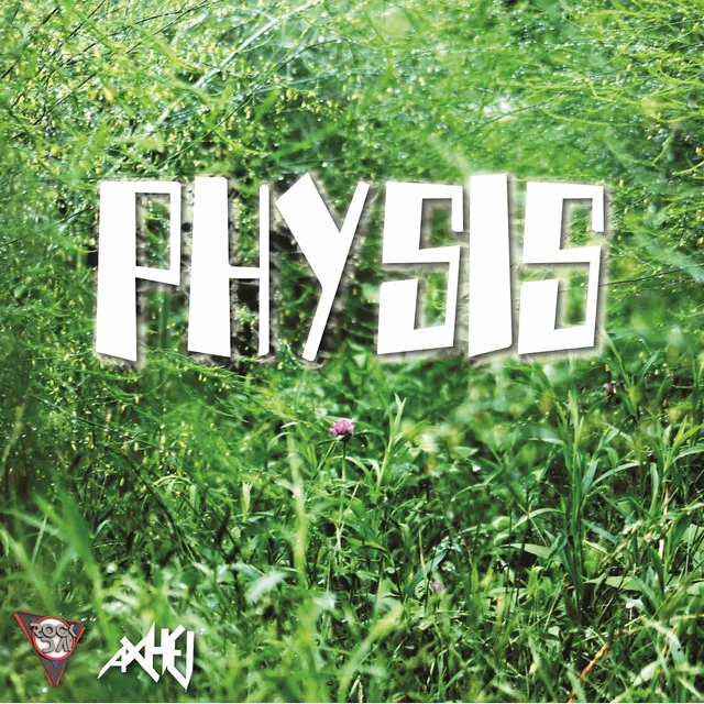 Physis - Intro