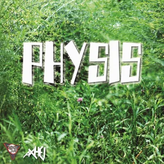 Physis by Axhel