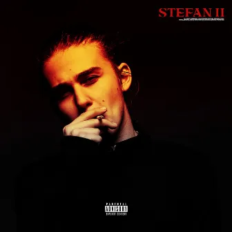 Stefan 2 by Oscar