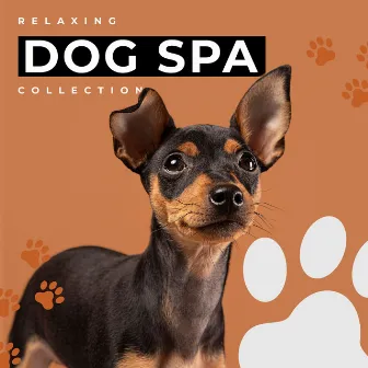 Relaxing Dog Spa Collection by Spa & Relaxation