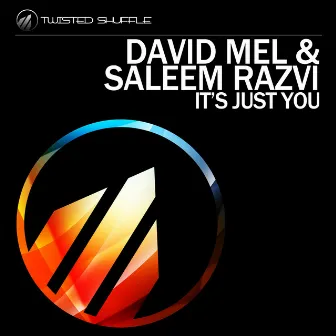 It's Just You by David Mel